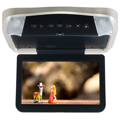 Ceiling Mount DVD Entertainment System