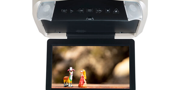 Ceiling Mount DVD Entertainment System