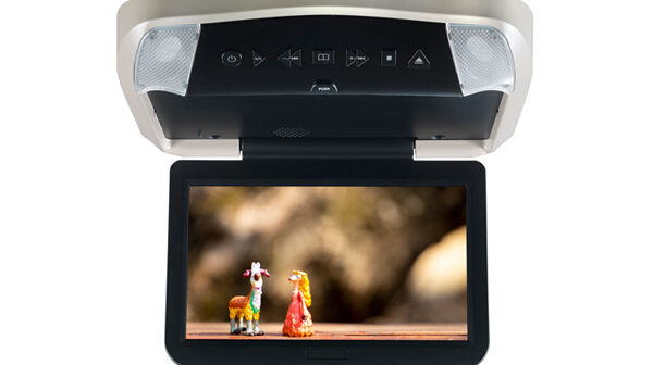 Ceiling Mount DVD Entertainment System